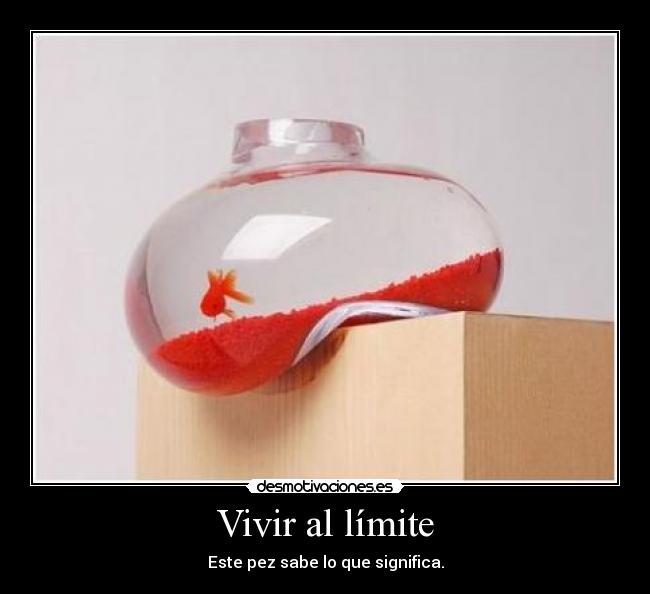 carteles dfreg desmotivaciones