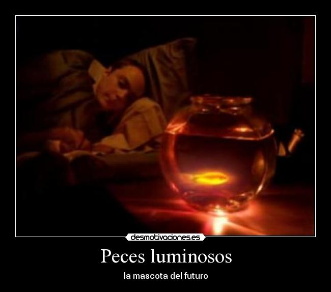 Peces luminosos - la mascota del futuro