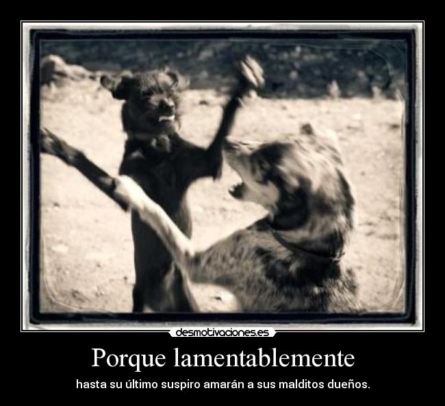Porque lamentablemente - hasta su último suspiro amarán a sus malditos dueños.