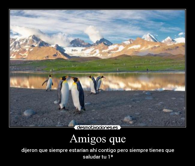 Amigos que - 
