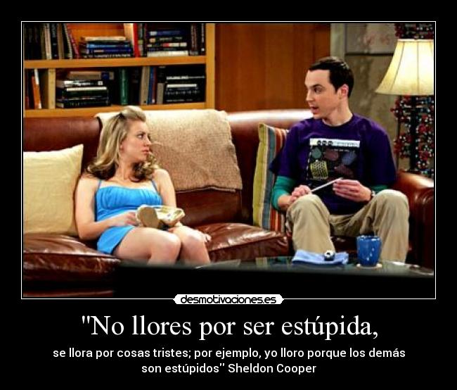 No llores por ser estúpida, - se llora por cosas tristes; por ejemplo, yo lloro porque los demás
son estúpidos Sheldon Cooper