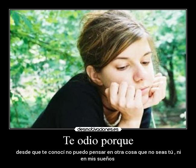 Te odio porque -