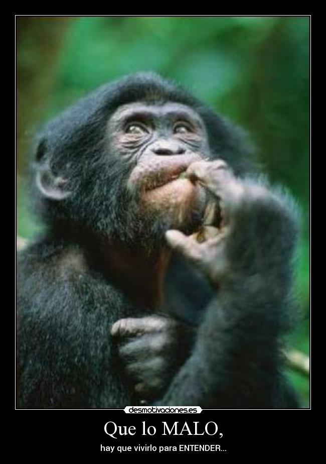 Que lo MALO, - hay que vivirlo para ENTENDER...