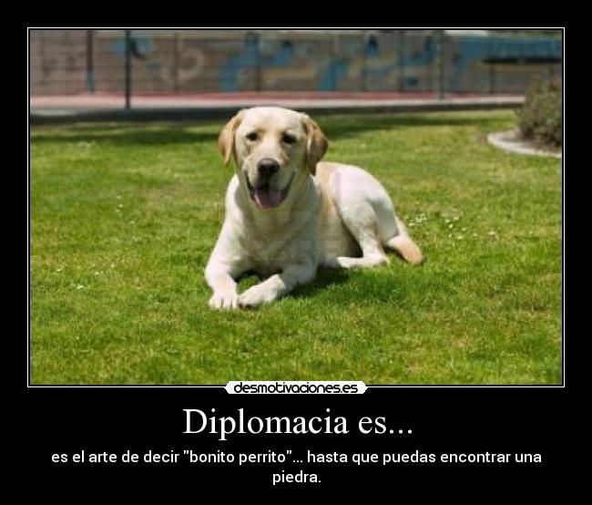 Diplomacia es... - es el arte de decir bonito perrito... hasta que puedas encontrar una piedra.