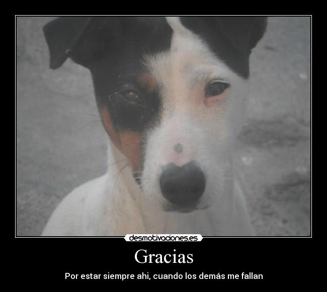Gracias -