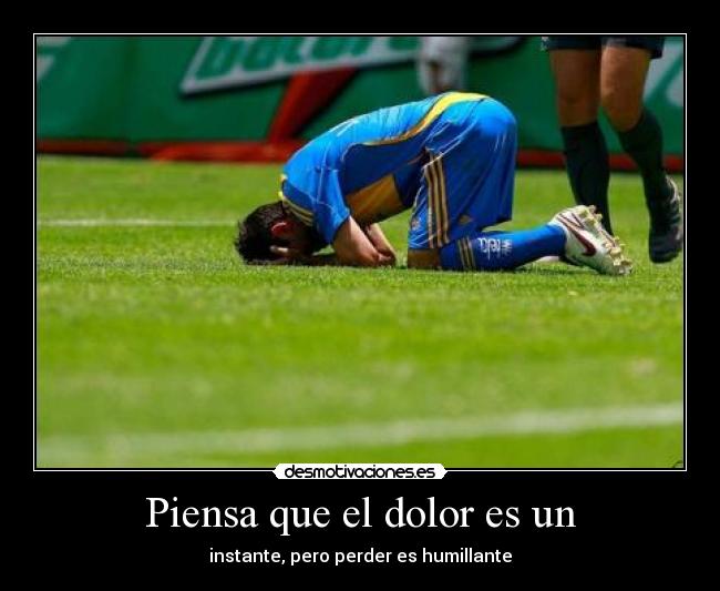 carteles dolor nosotros hicimos desmotivaciones