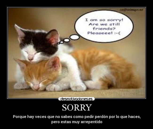 SORRY - Porque hay veces que no sabes como pedir perdón por lo que haces,
pero estas muy arrepentido