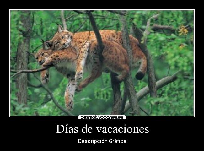 carteles ese viciao loco jajaja felicidades man emociones que banean loll aja desmotivaciones