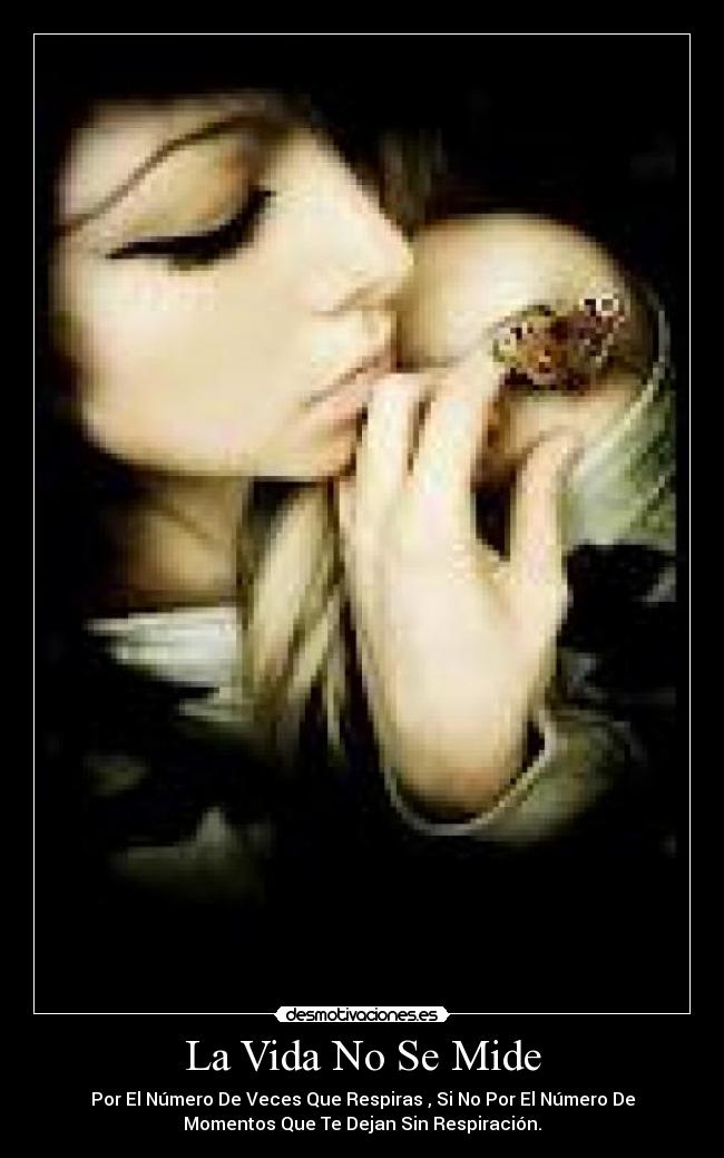 La Vida No Se Mide -