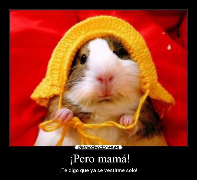 carteles pero mamaaaaaaaa digo que vestirme solo desmotivaciones