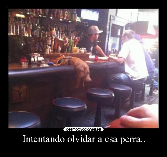 Intentando olvidar a esa perra.. -