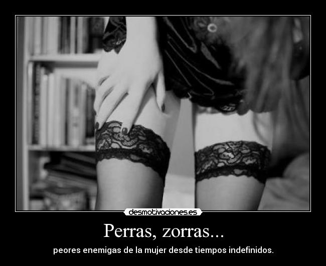 Perras, zorras... - peores enemigas de la mujer desde tiempos indefinidos.