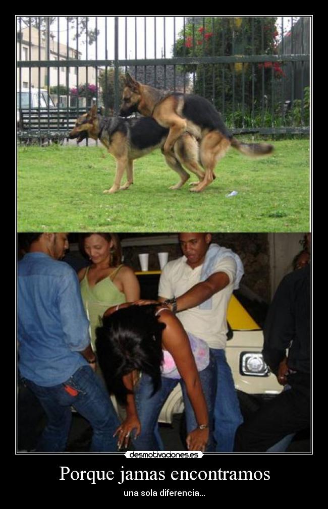 Porque jamas encontramos -