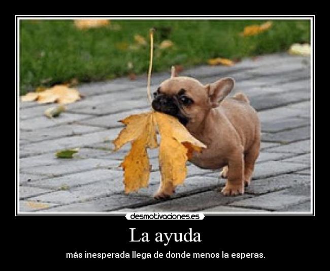 La ayuda -