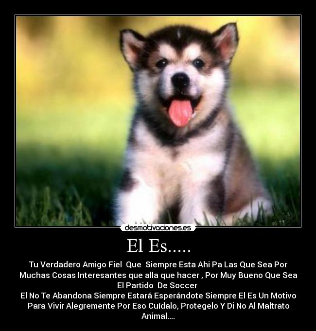 El Es..... -