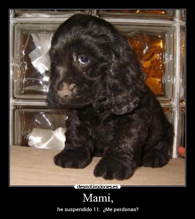 carteles suspensos desmotivaciones