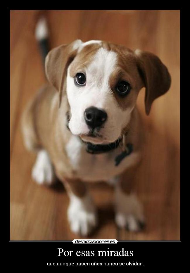 Por esas miradas -