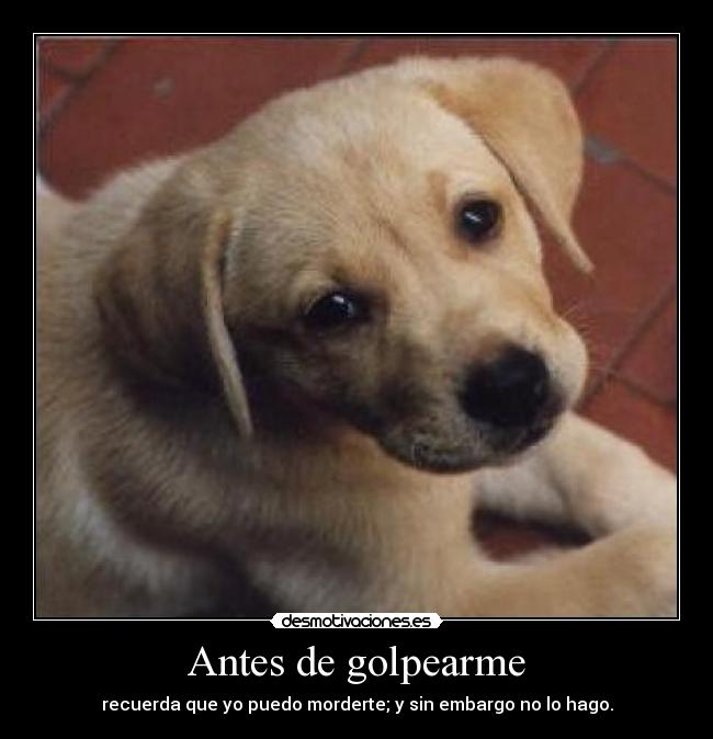 Antes de golpearme - recuerda que yo puedo morderte; y sin embargo no lo hago.