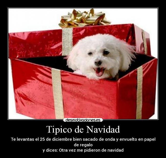 Tipico de Navidad - 