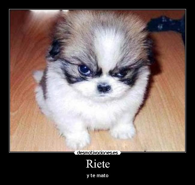 Riete - 