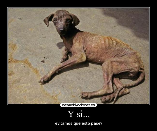 Y si... - 
