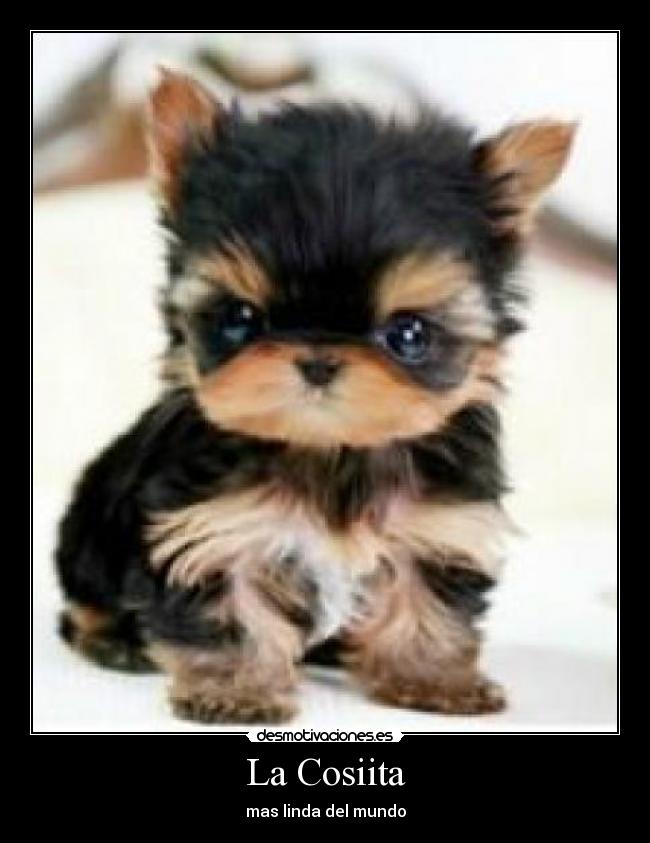 La Cosiita -
