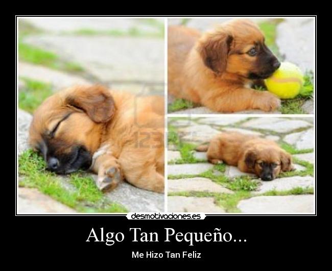 Algo Tan Pequeño... - Me Hizo Tan Feliz