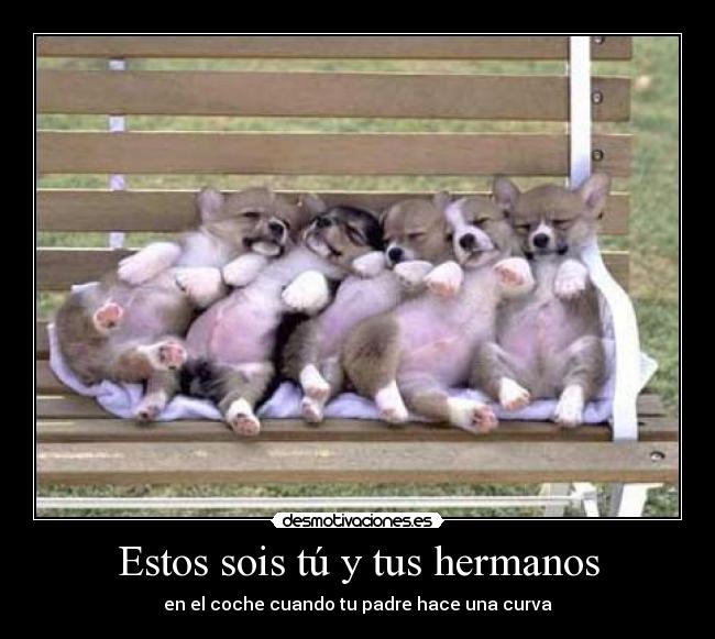 Estos sois tú y tus hermanos -