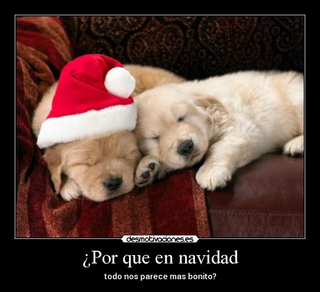 ¿Por que en navidad - 