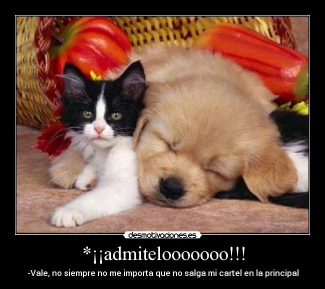 *¡¡admitelooooooo!!! - -Vale, no siempre no me importa que no salga mi cartel en la principal