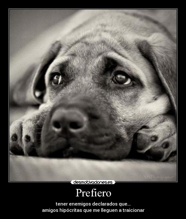 Prefiero - tener enemigos declarados que...
amigos hipócritas que me lleguen a traicionar