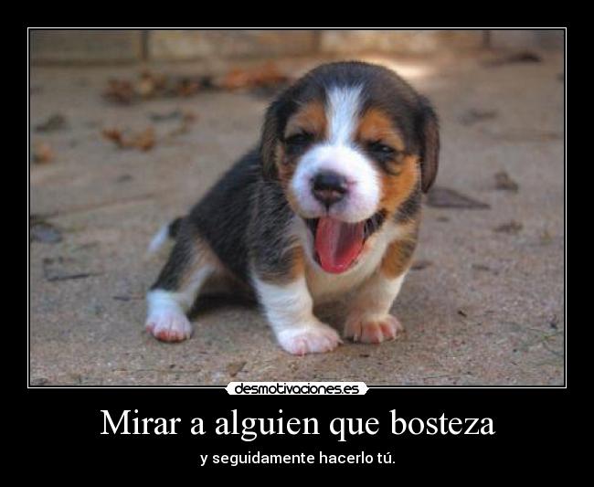 Mirar a alguien que bosteza - y seguidamente hacerlo tú.