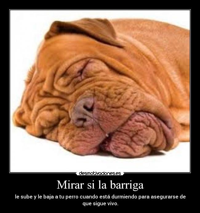 Mirar si la barriga -