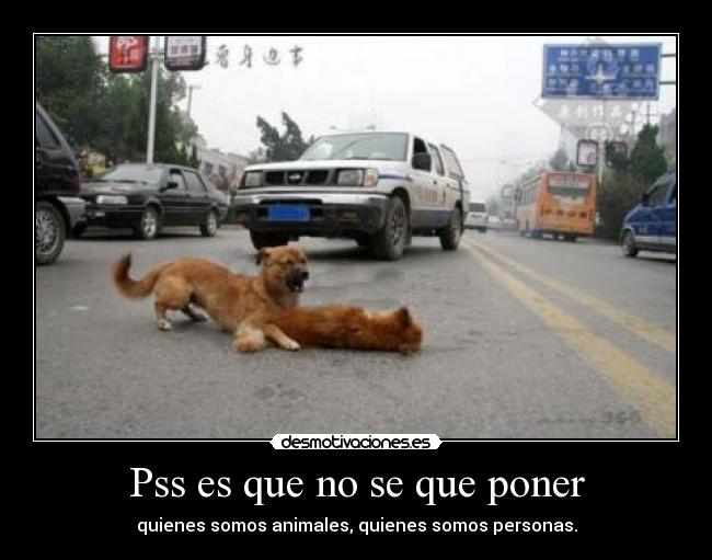 Pss es que no se que poner - quienes somos animales, quienes somos personas.