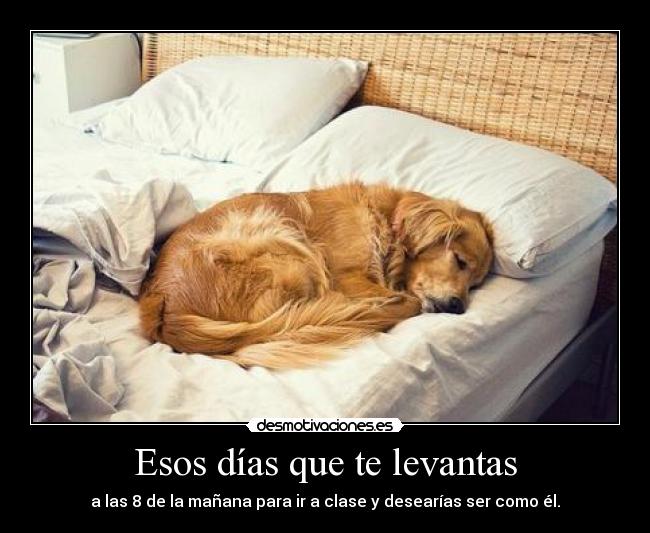 Esos días que te levantas -