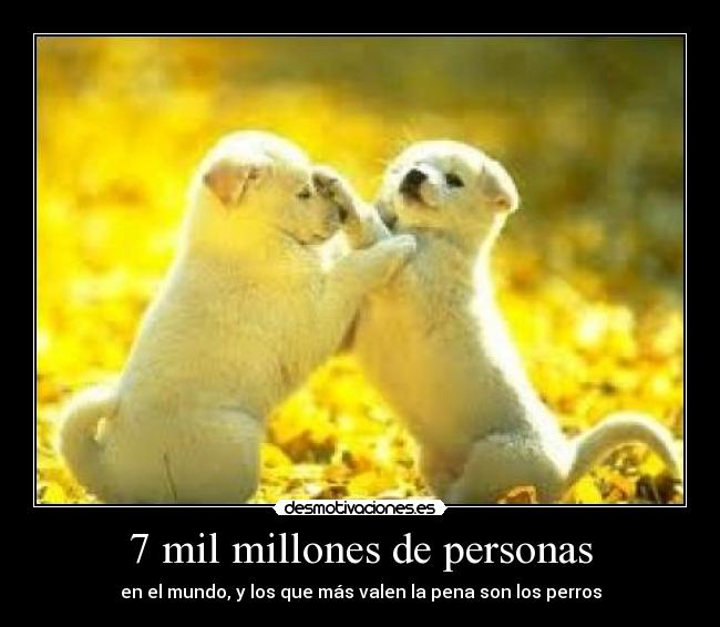 7 mil millones de personas - 