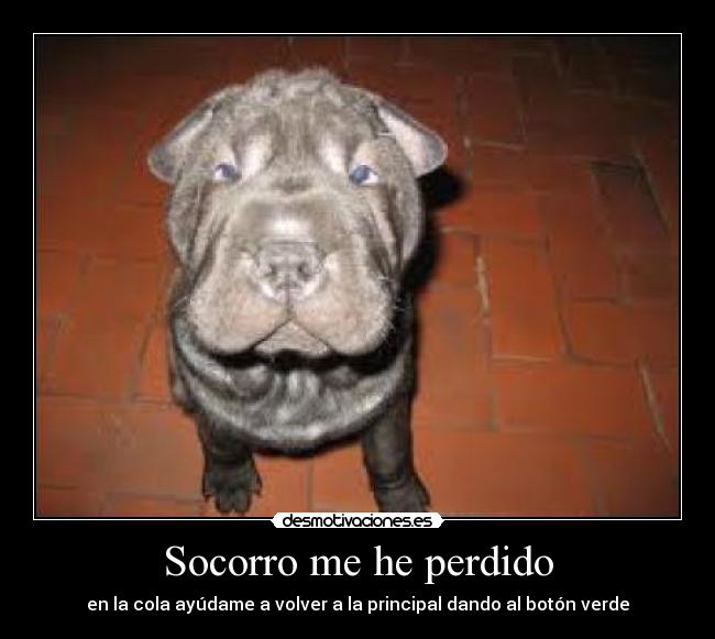 Socorro me he perdido - en la cola ayúdame a volver a la principal dando al botón verde