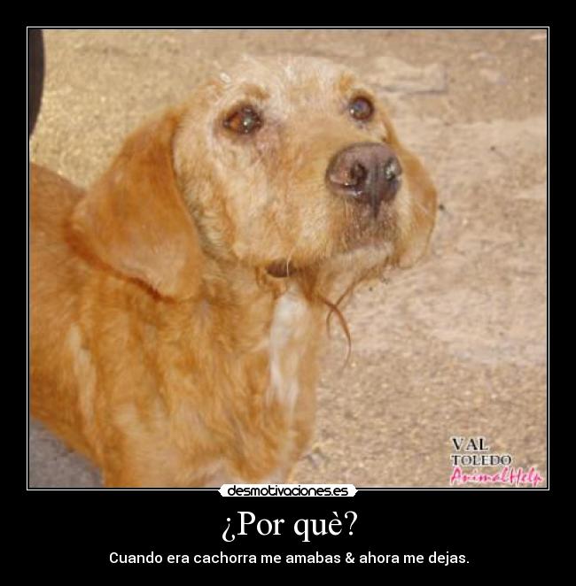 ¿Por què? -