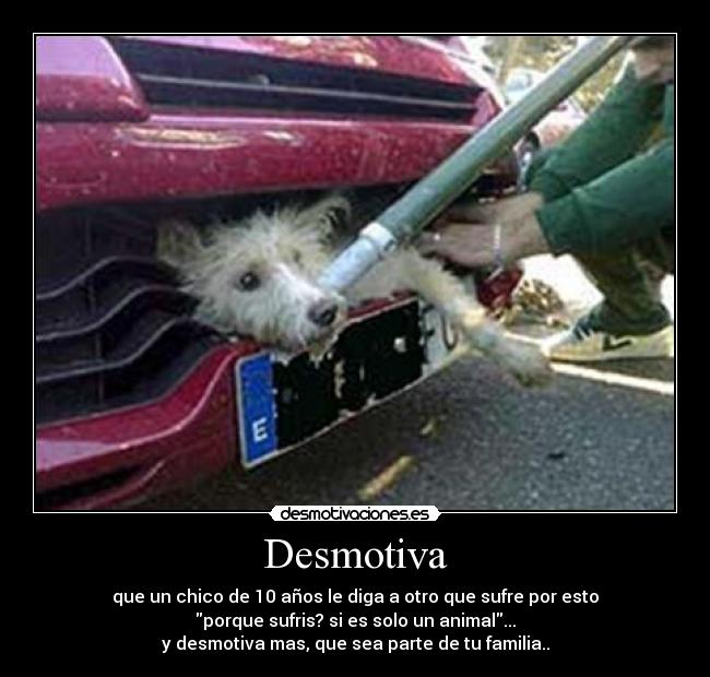 Desmotiva - 