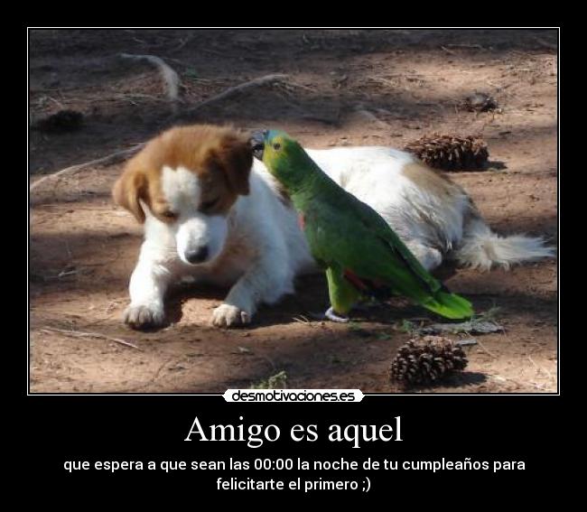 Amigo es aquel - 