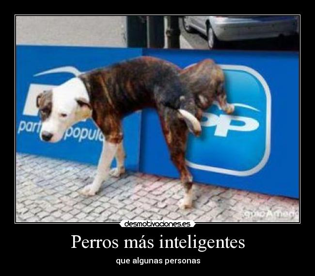 carteles loooooooooooooool desmotivaciones