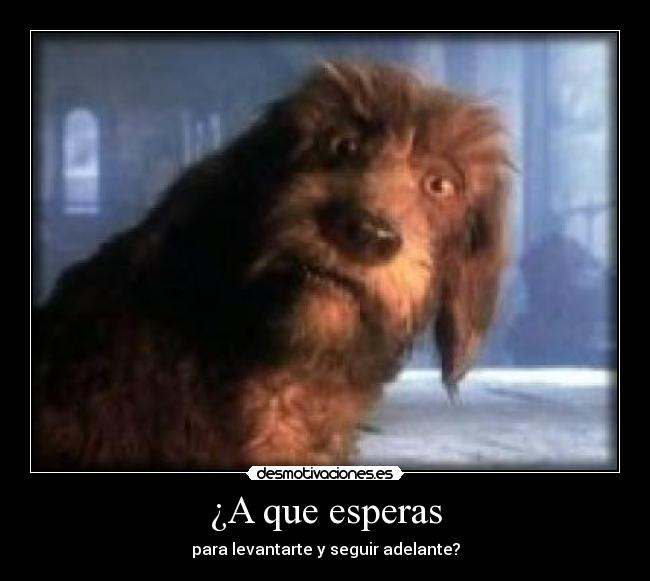 ¿A que esperas - para levantarte y seguir adelante?