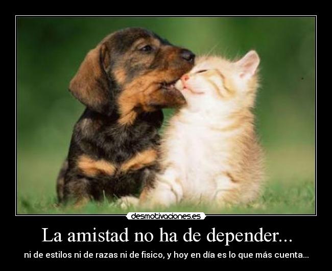 La amistad no ha de depender... -