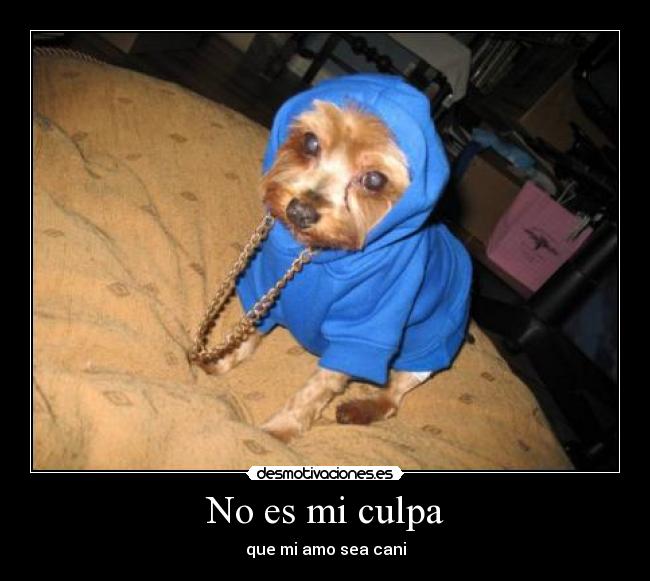 No es mi culpa -
