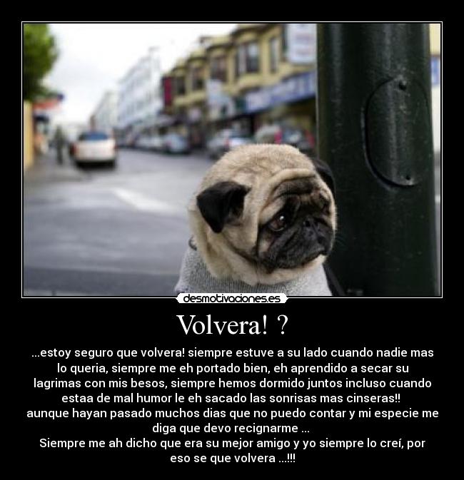 carteles volvera desmotivaciones