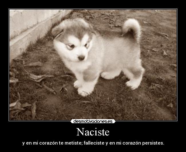 Naciste -