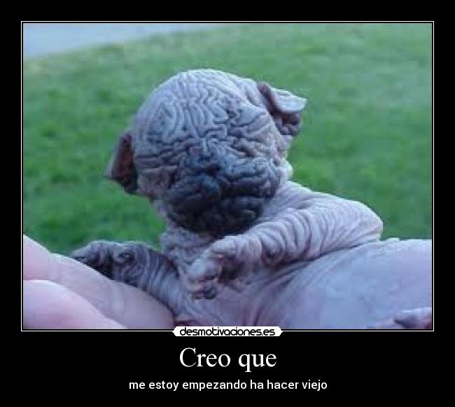 Creo que -