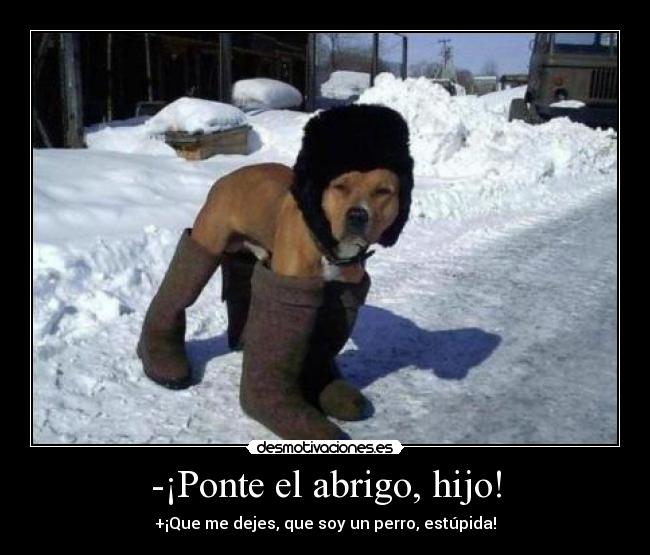 -¡Ponte el abrigo, hijo! - +¡Que me dejes, que soy un perro, estúpida!