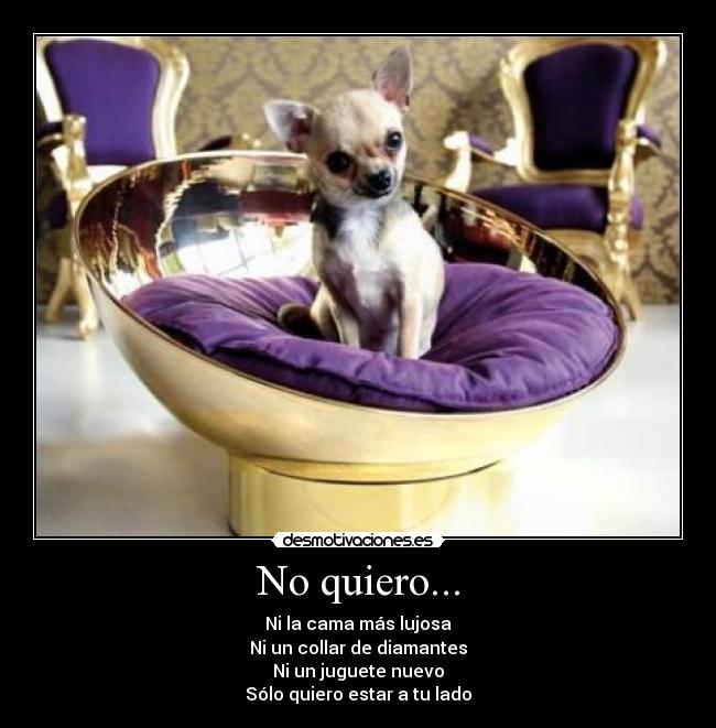 No quiero... -