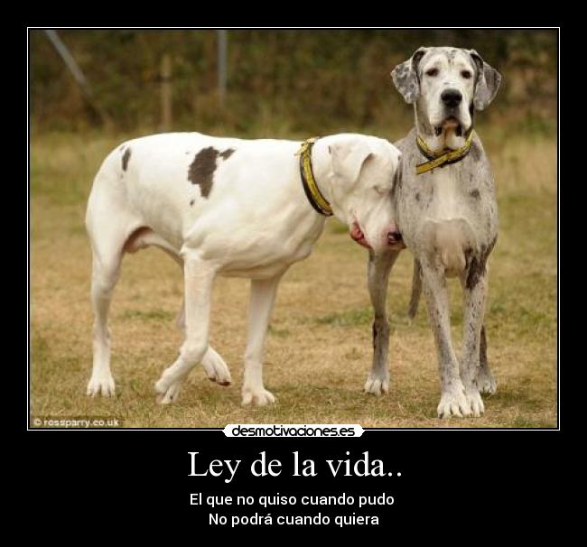 Ley de la vida.. -